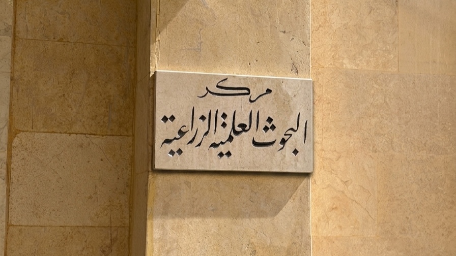 البحوث العملية الزراعية في حلب